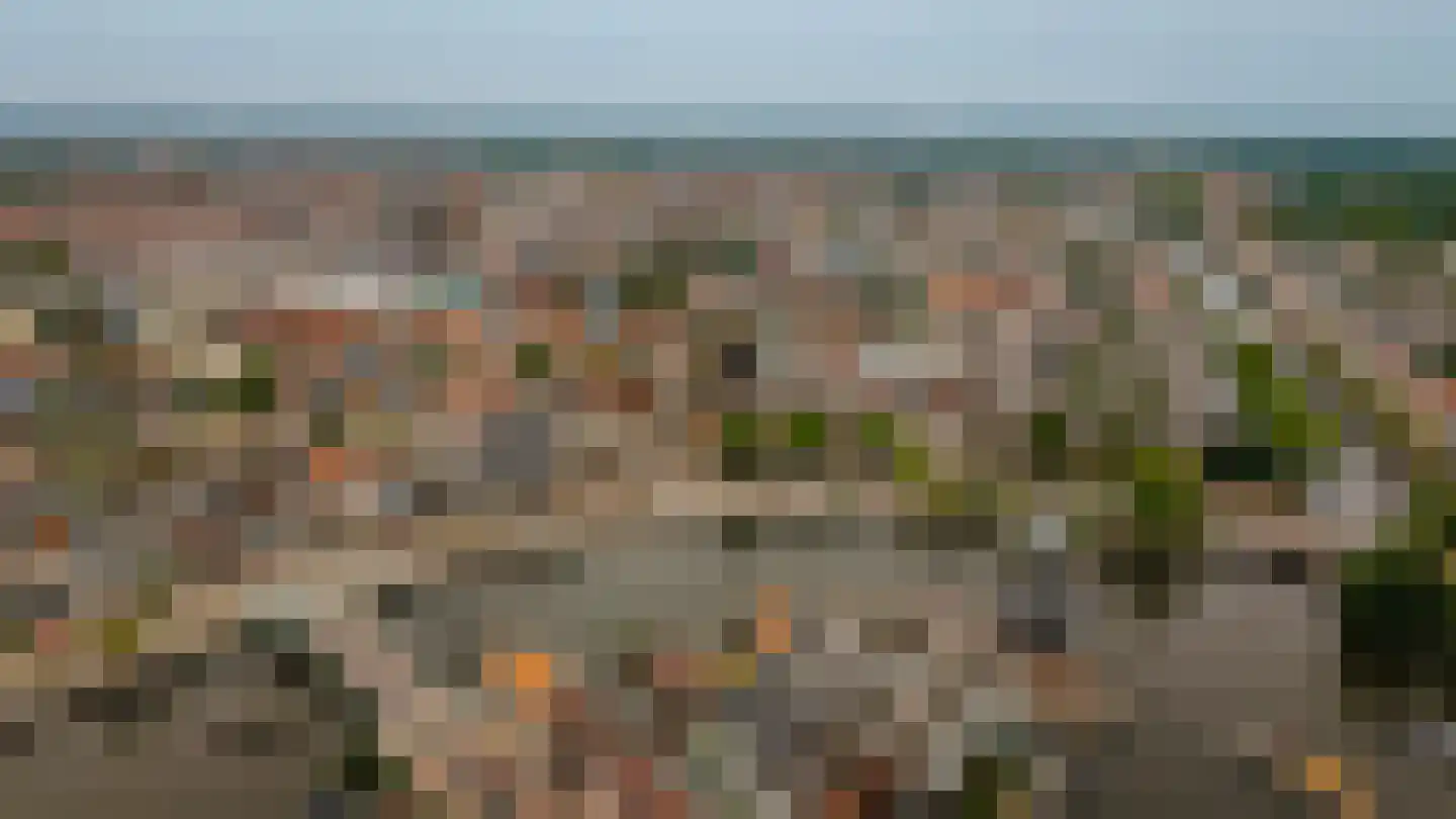 Harmenjansweg 89 Haarlem thumbnail 46