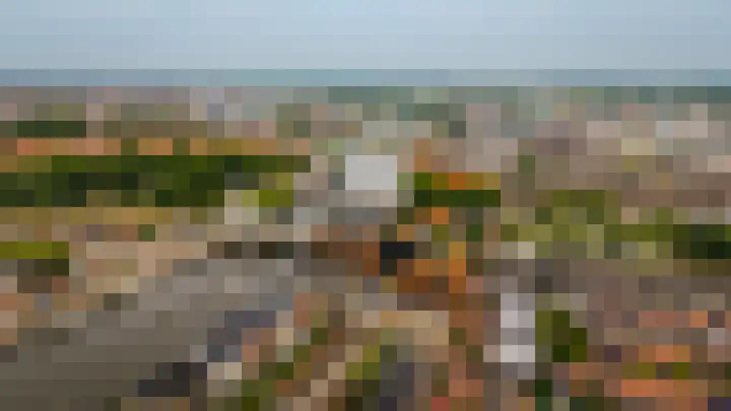 Harmenjansweg 89 Haarlem thumbnail 47