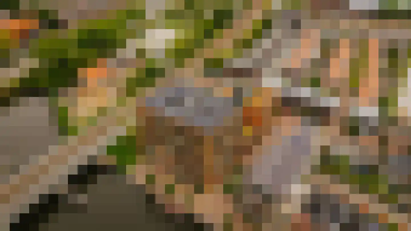 Harmenjansweg 89 Haarlem thumbnail 48