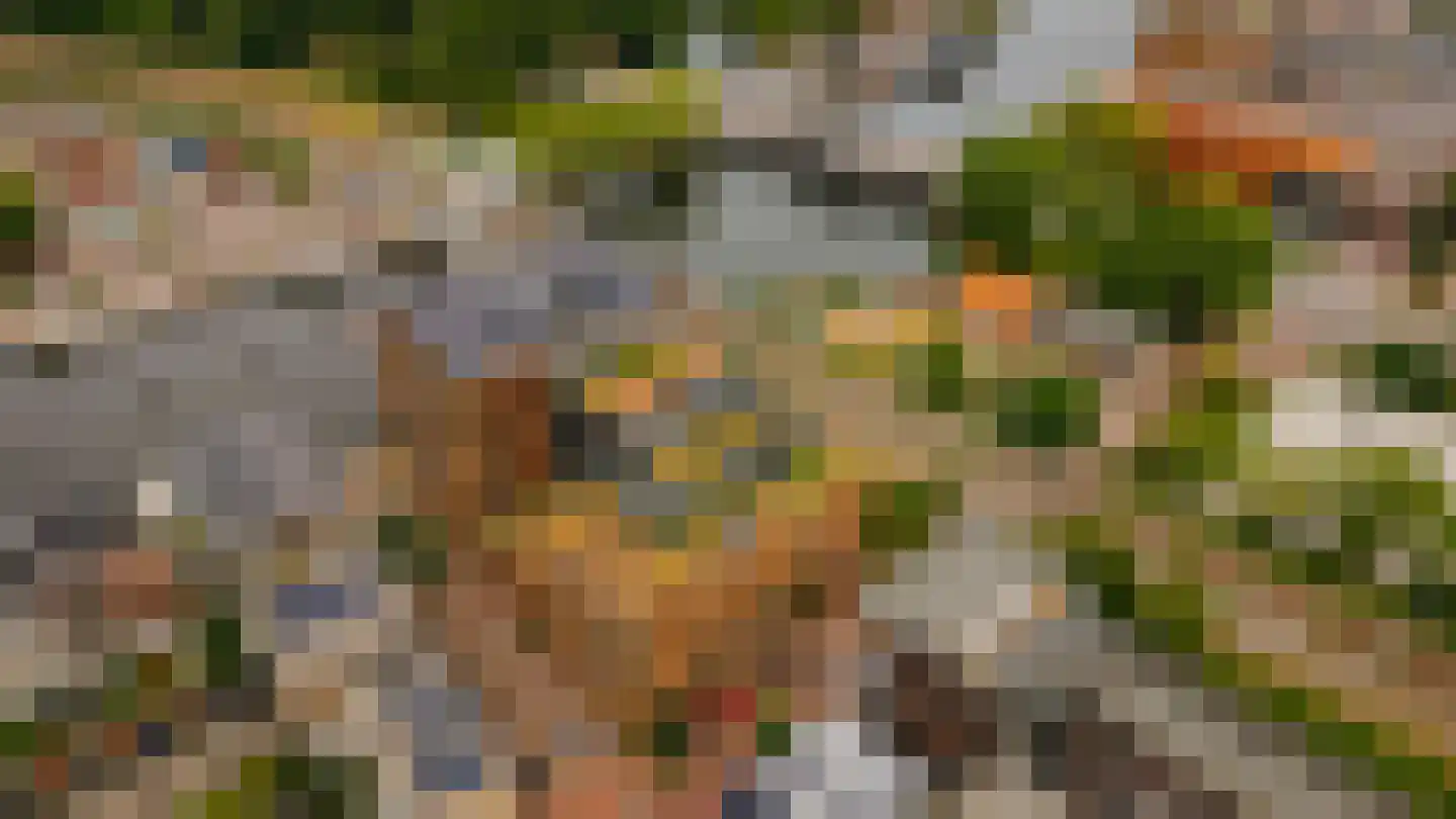 Harmenjansweg 89 Haarlem thumbnail 51