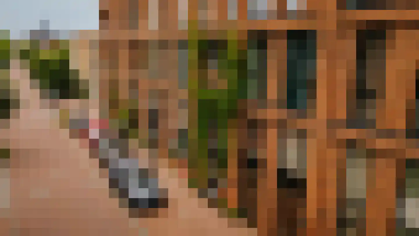 Harmenjansweg 89 Haarlem thumbnail 52