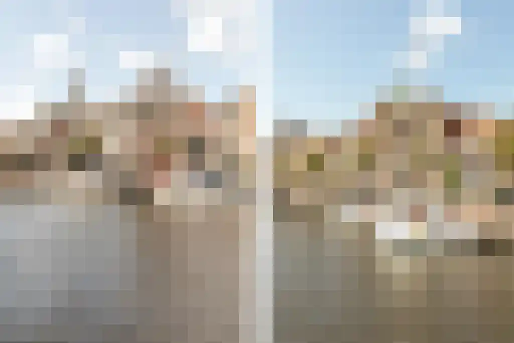 Harmenjansweg 89 Haarlem thumbnail 56