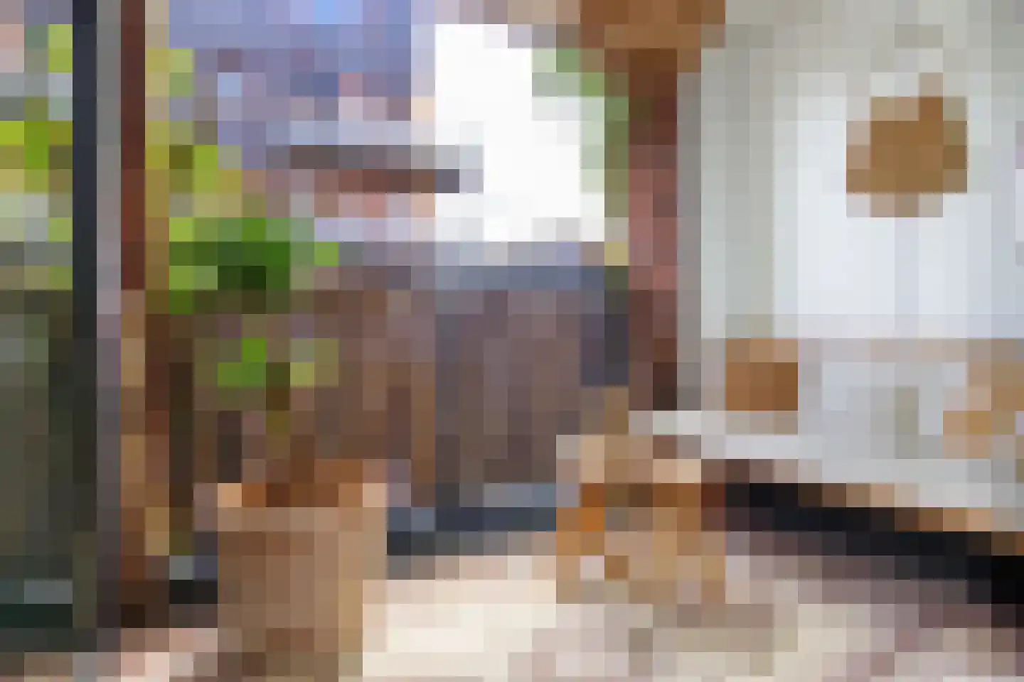 Harmenjansweg 89 Haarlem thumbnail 6
