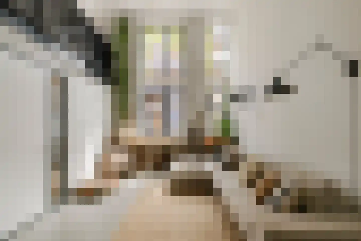 Harmenjansweg 89 Haarlem thumbnail 8