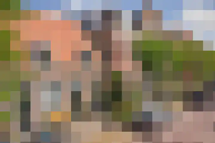 Harmenkokslaan 20 Delft thumbnail 31