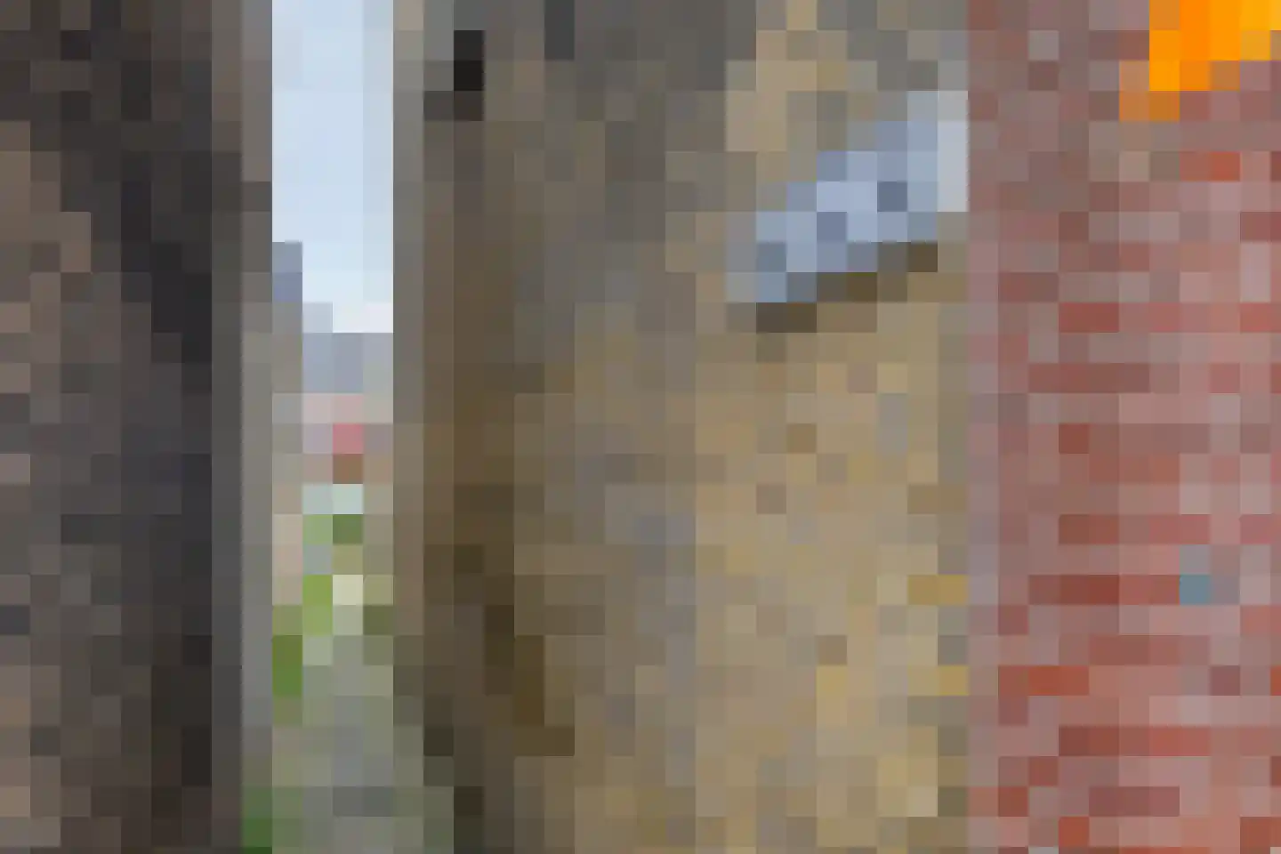 Harmenkokslaan 26 Delft thumbnail 5