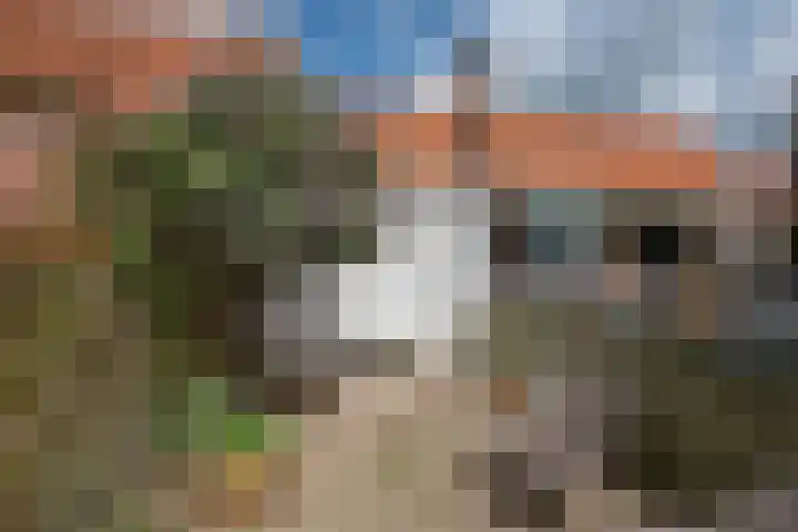 Harmenkokslaan 76 Delft thumbnail 15