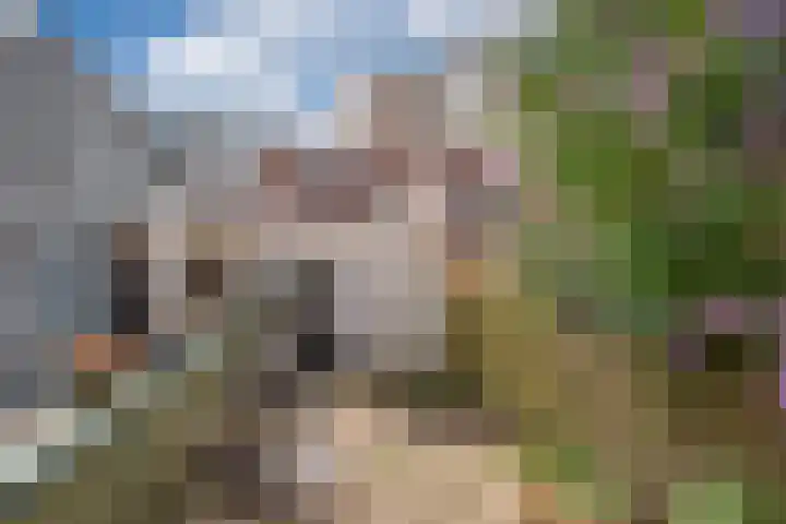 Harmenkokslaan 76 Delft thumbnail 16