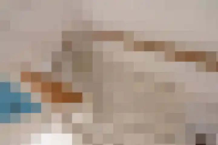 Harmenkokslaan 76 Delft thumbnail 17