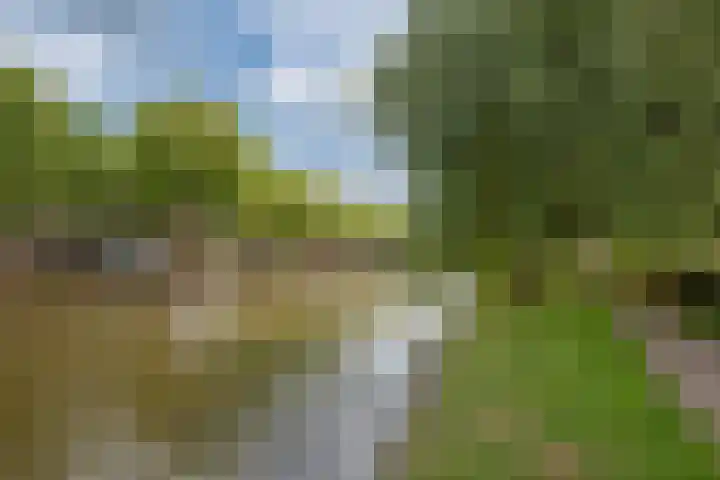 Harmenkokslaan 76 Delft thumbnail 30