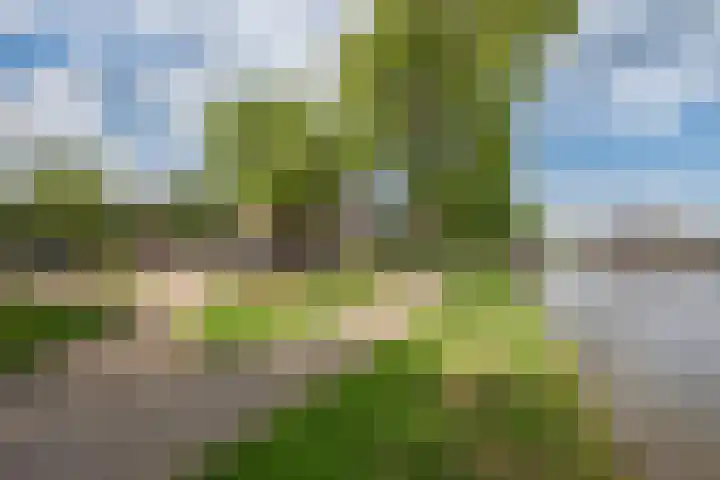Harmenkokslaan 76 Delft thumbnail 31