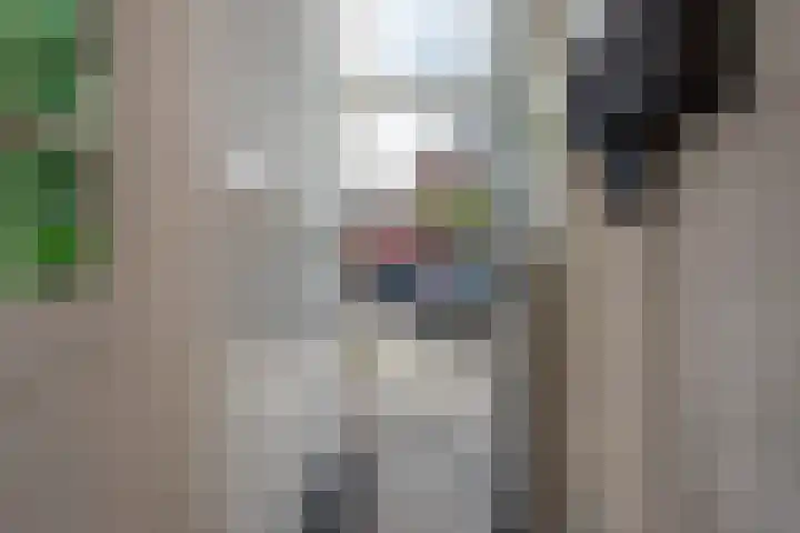Harmenkokslaan 76 Delft thumbnail 5