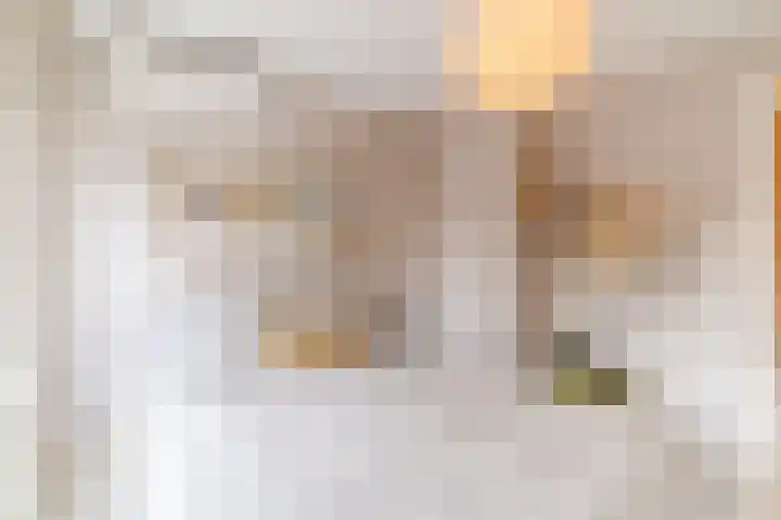 Harmenkokslaan 84 Delft thumbnail 15