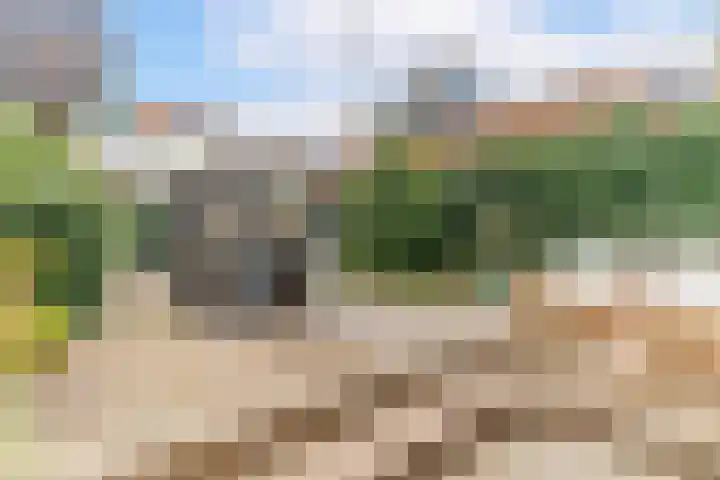 Harmenkokslaan 84 Delft thumbnail 5