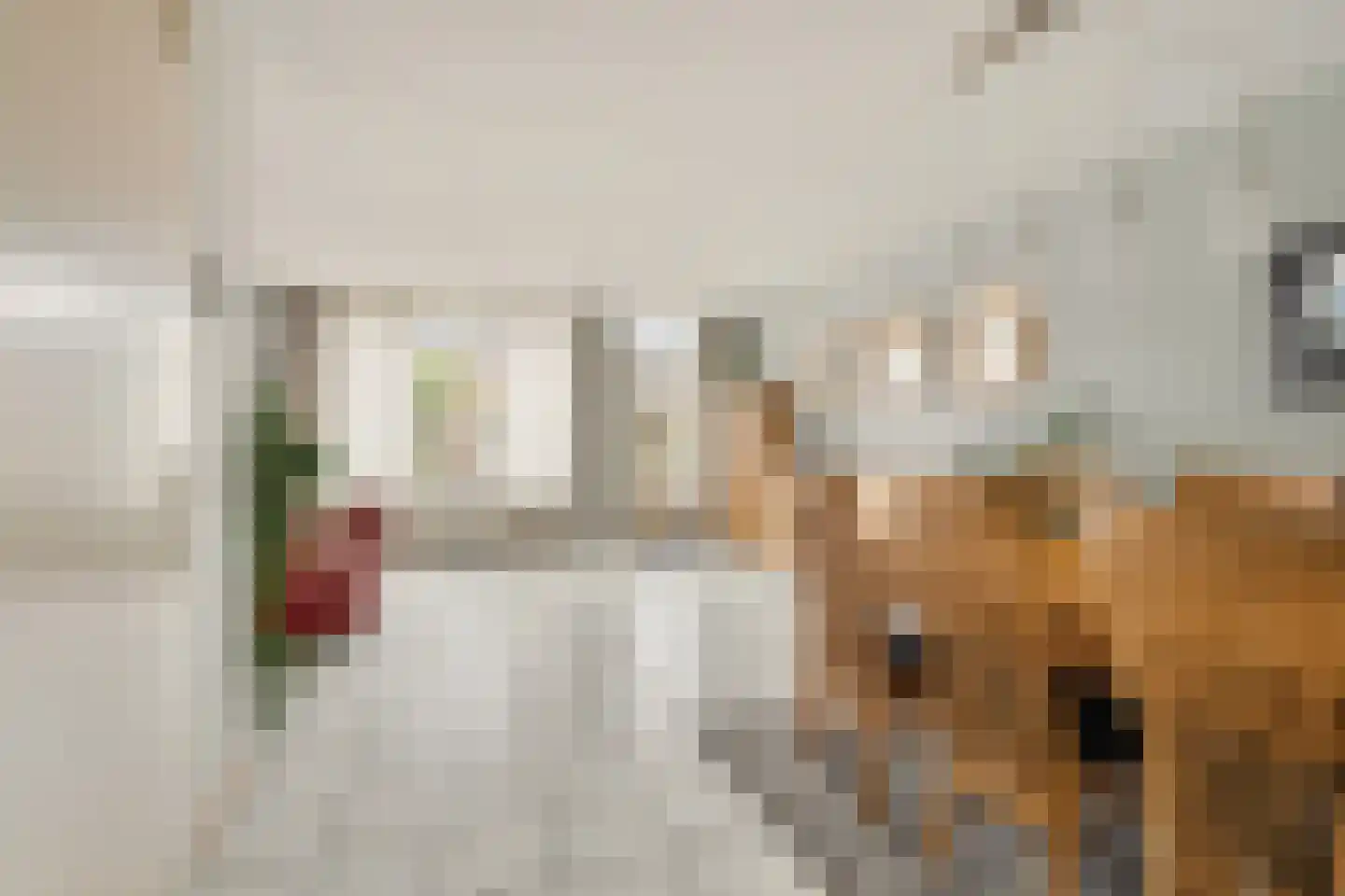 Harmonie 2 Klaaswaal thumbnail 11