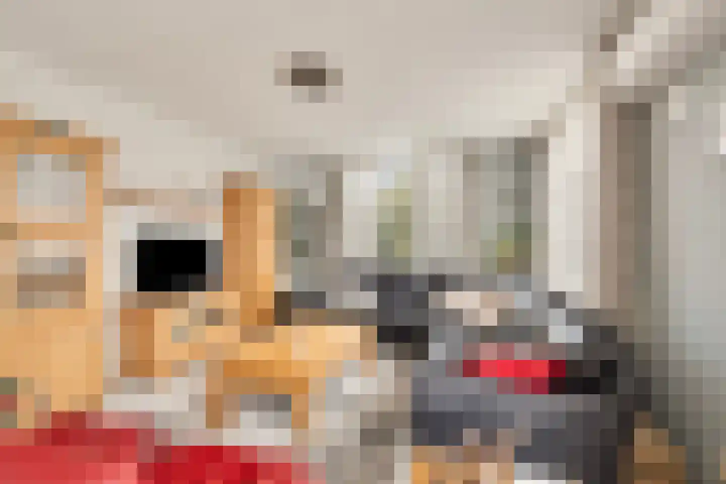 Harmonie 2 Klaaswaal thumbnail 13