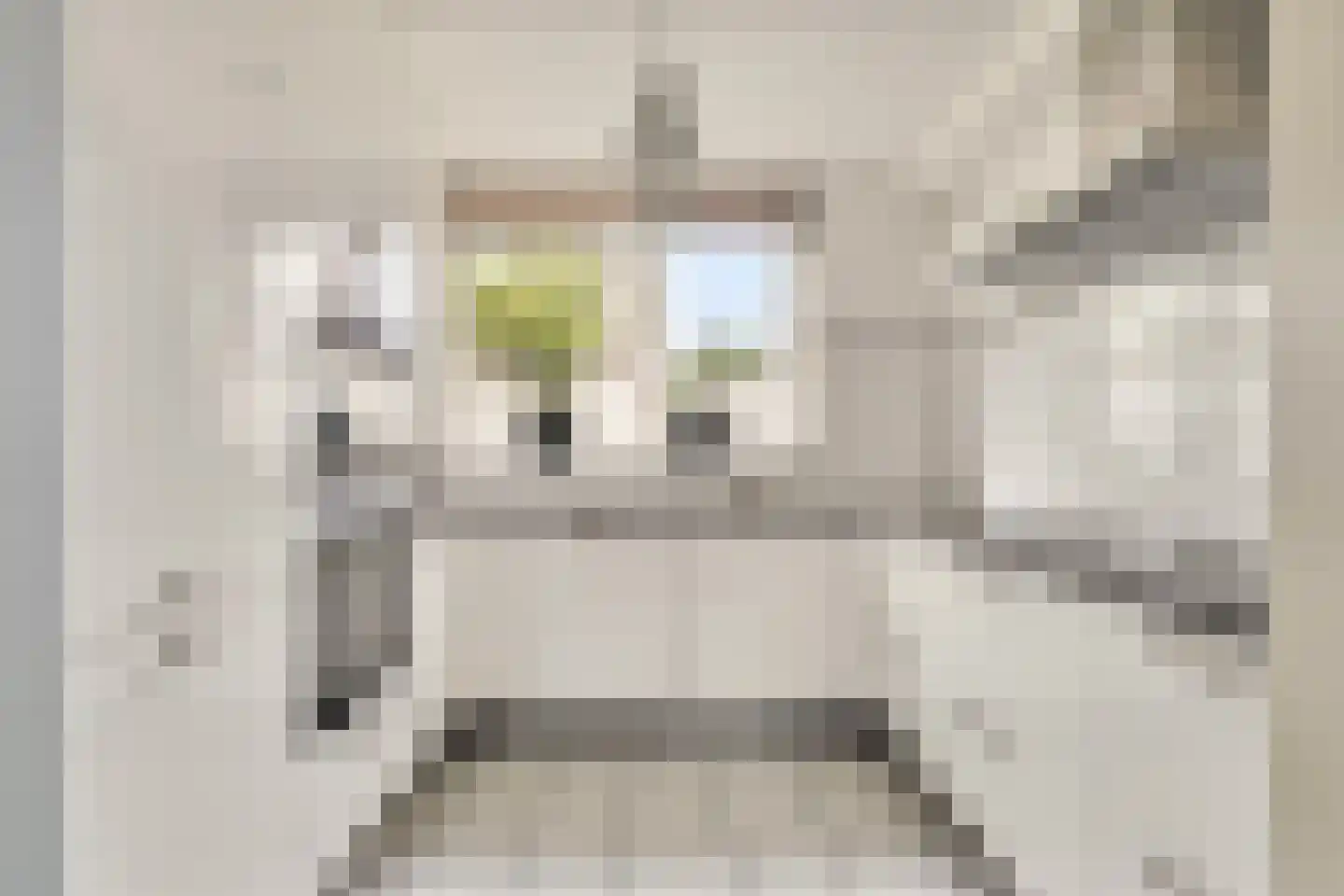 Harmonie 2 Klaaswaal thumbnail 16