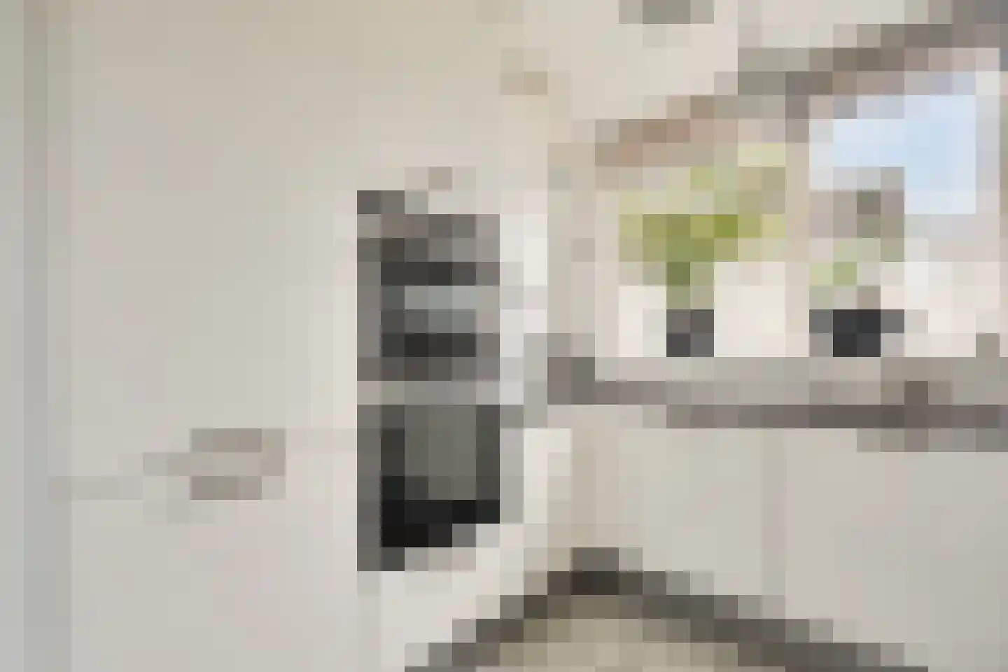 Harmonie 2 Klaaswaal thumbnail 18