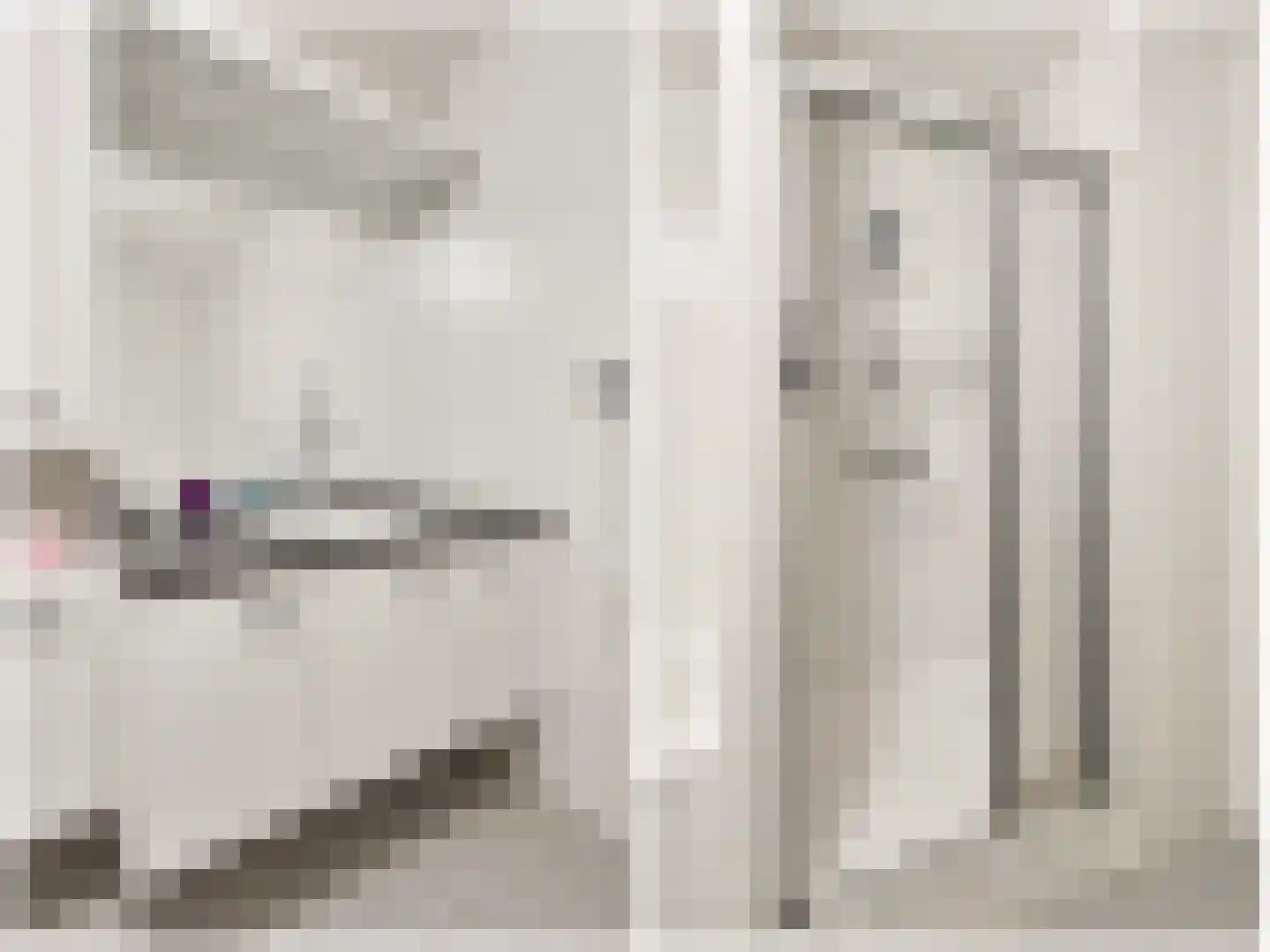 Harmonie 2 Klaaswaal thumbnail 25