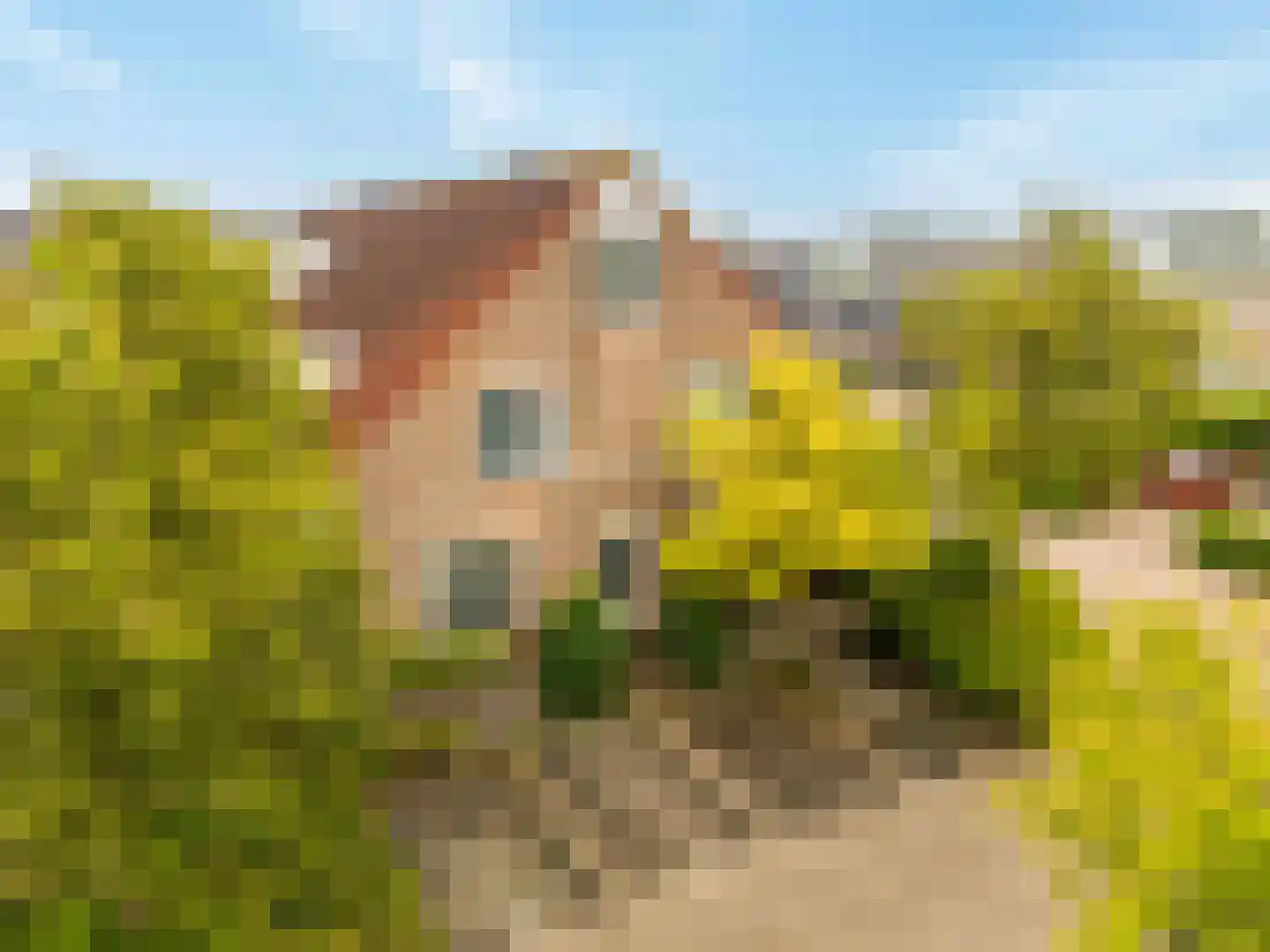 Harmonie 2 Klaaswaal thumbnail 4