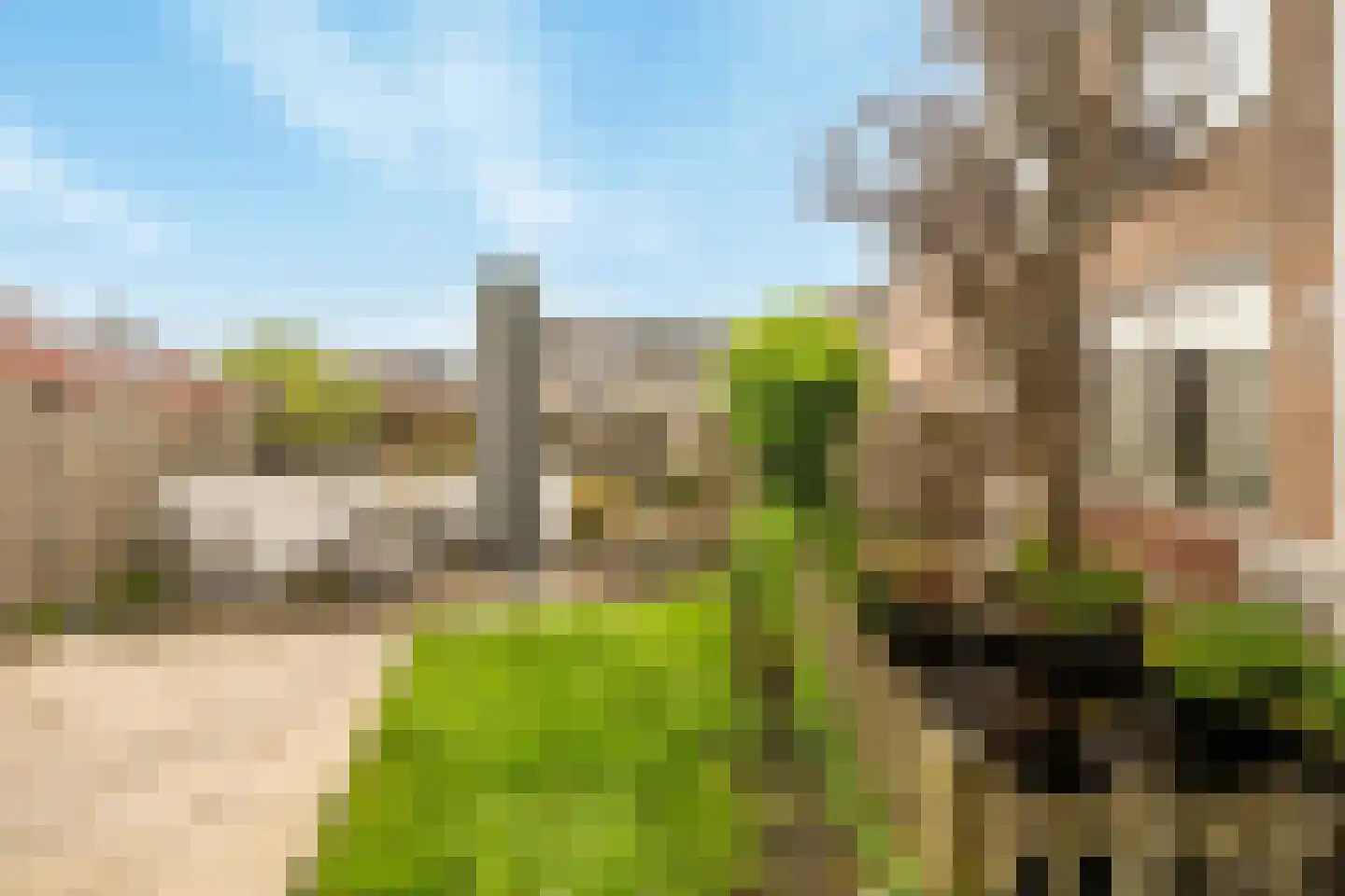 Harmonie 2 Klaaswaal thumbnail 40