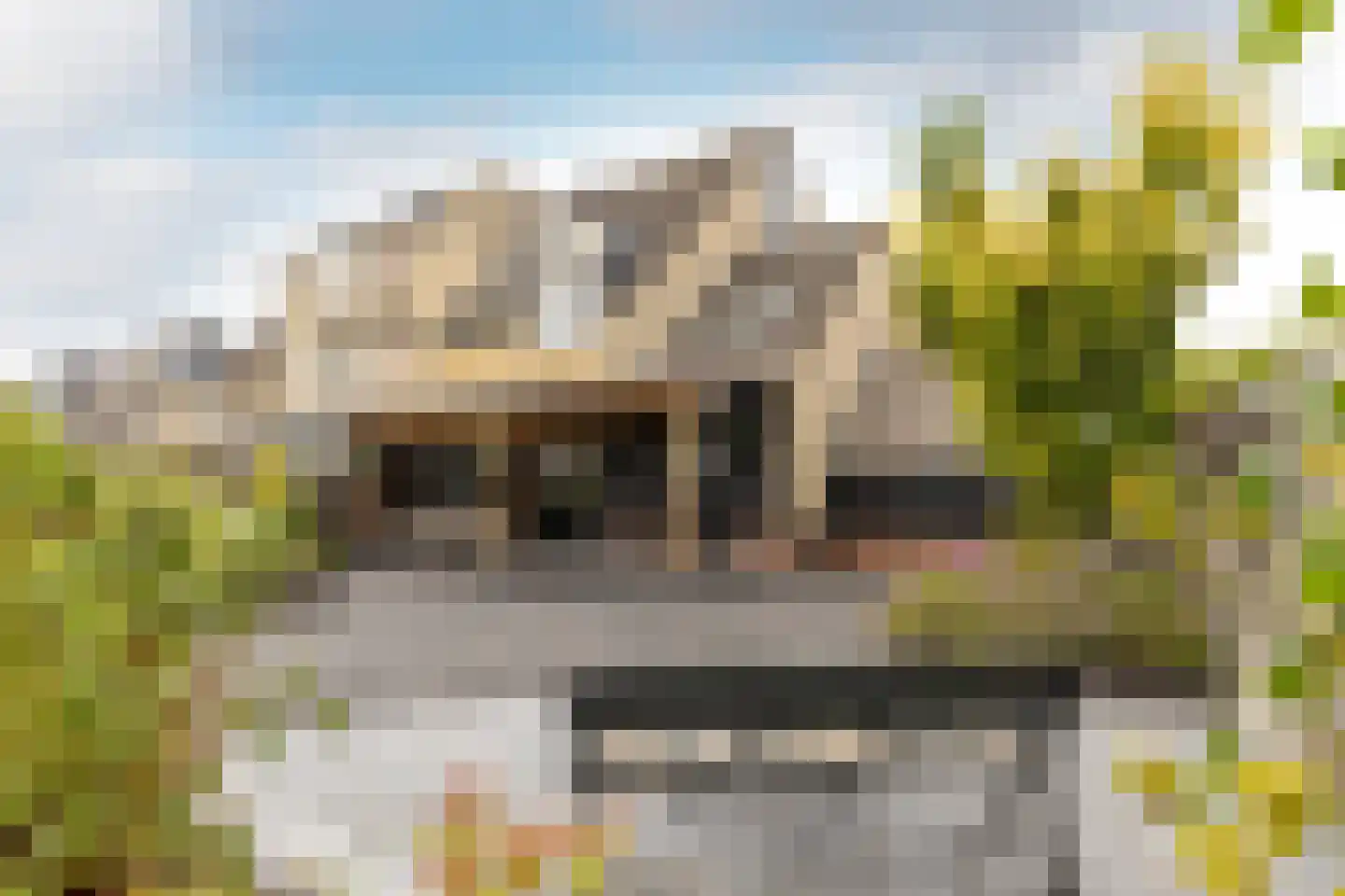 Harmonie 33 Klaaswaal thumbnail 28