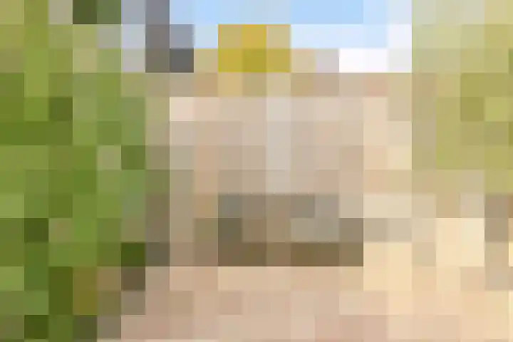 Harmonielaan 15 Harderwijk thumbnail 26