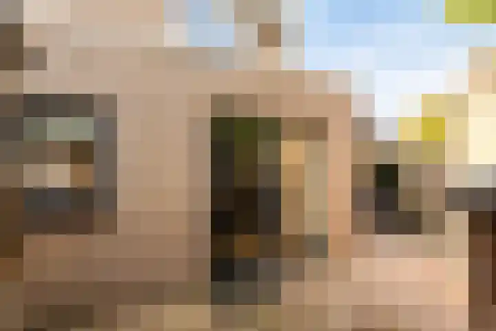 Harmonielaan 15 Harderwijk thumbnail 28