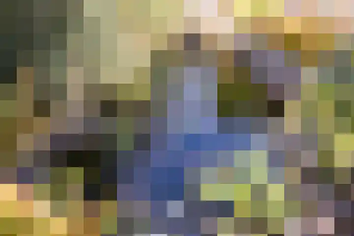 Harmonielaan 15 Harderwijk thumbnail 29