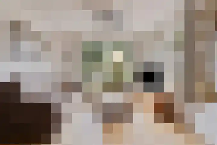 Harmonielaan 15 Harderwijk thumbnail 6