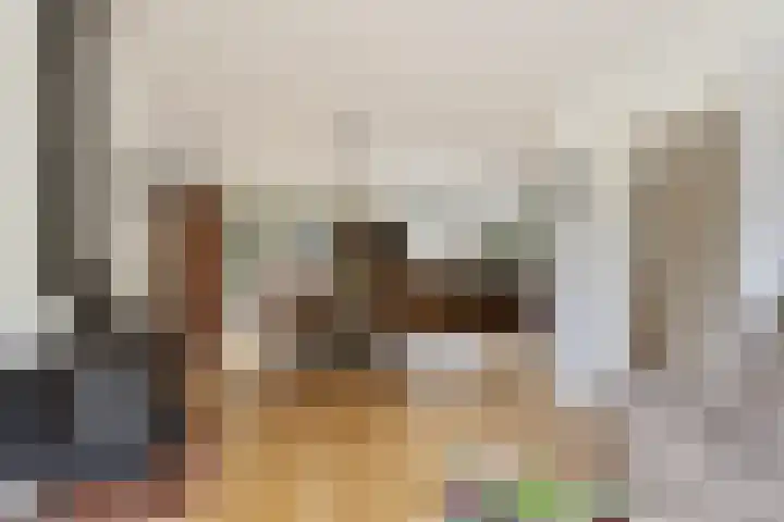 Harmonielaan 15 Harderwijk thumbnail 8
