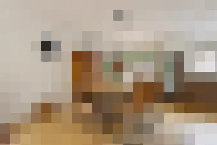Harmonielaan 15 Harderwijk thumbnail 9