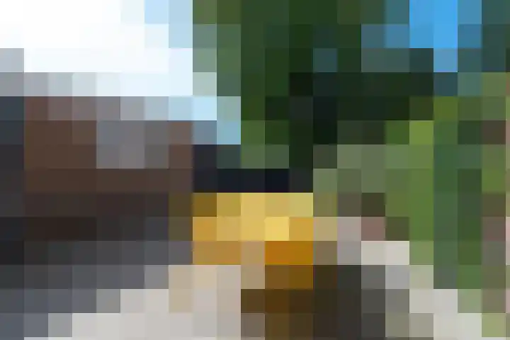 Harmonielaan 16 Zeist thumbnail 23