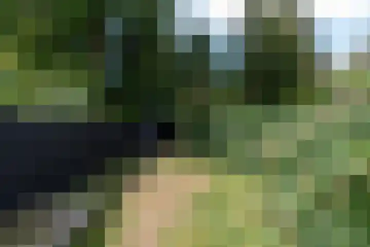 Harmonielaan 16 Zeist thumbnail 24
