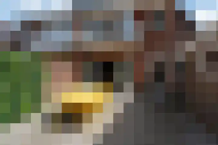 Harmonielaan 16 Zeist thumbnail 26