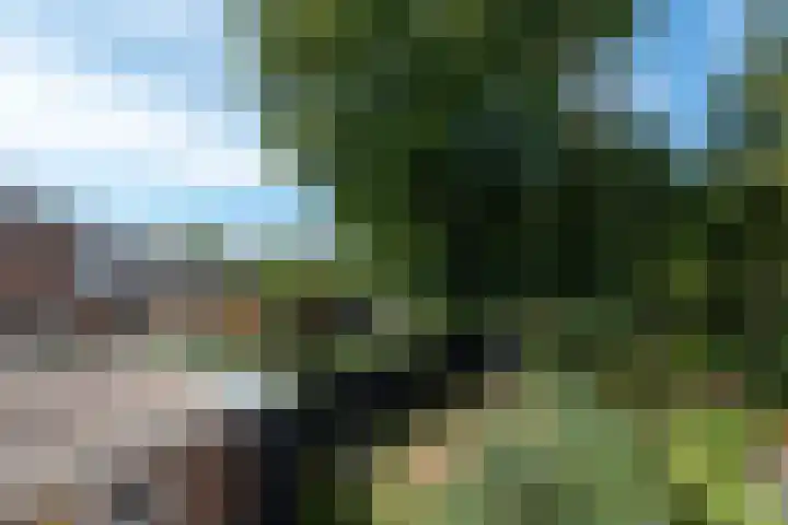 Harmonielaan 16 Zeist thumbnail 35