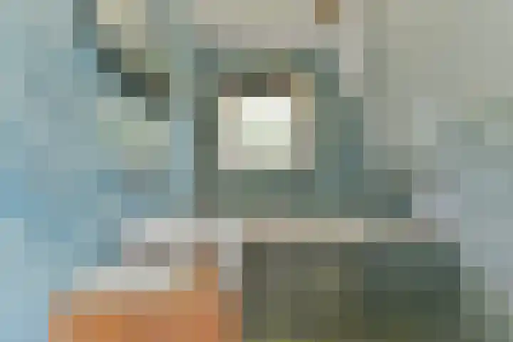 Harmonielaan 16 Zeist thumbnail 42