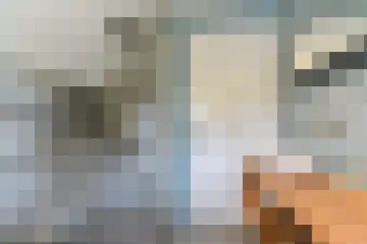 Harmonielaan 16 Zeist thumbnail 43