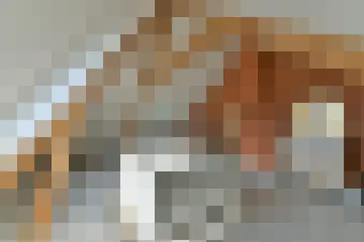 Harmonielaan 16 Zeist thumbnail 48