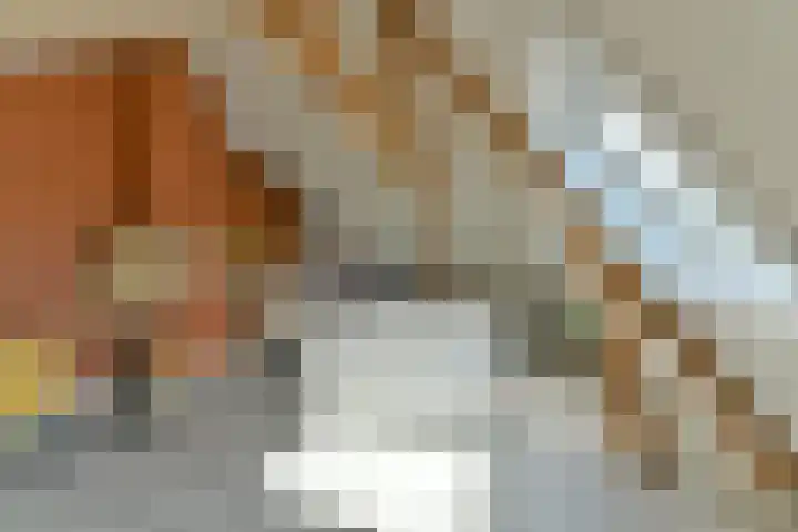 Harmonielaan 16 Zeist thumbnail 50