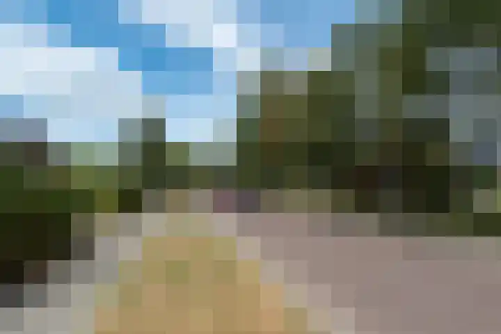 Harmonielaan 16 Zeist thumbnail 52