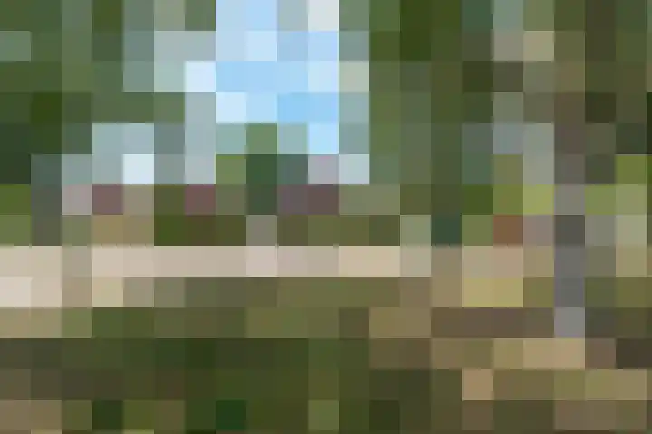 Harmonielaan 16 Zeist thumbnail 53