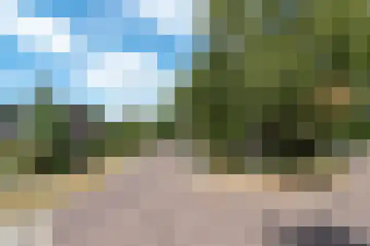 Harmonielaan 16 Zeist thumbnail 54