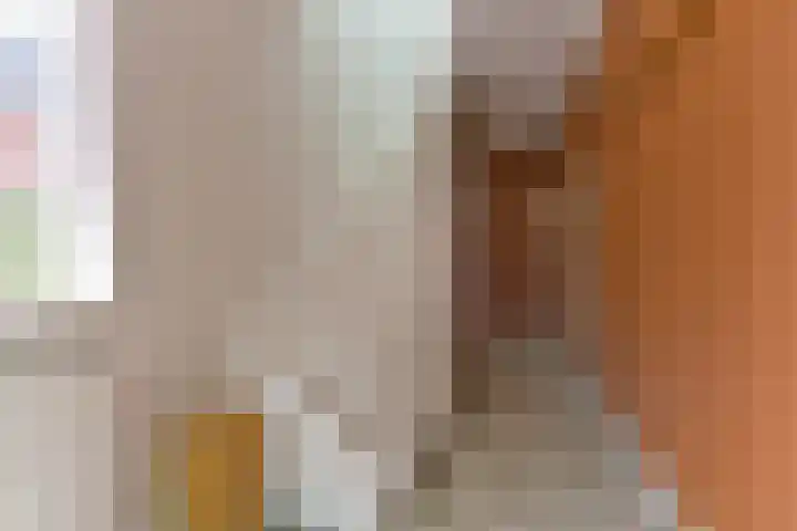 Harmonielaan 16 Zeist thumbnail 6