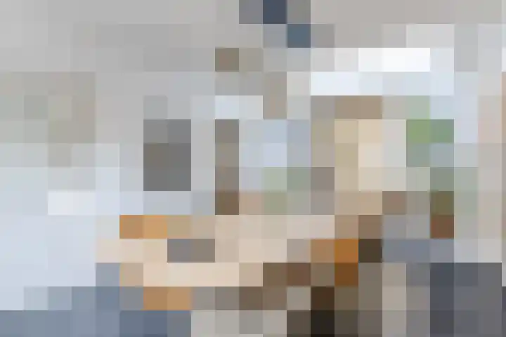 Harmonielaan 22 Someren thumbnail 13