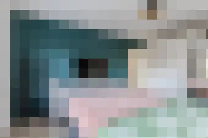 Harmonielaan 22 Someren thumbnail 24
