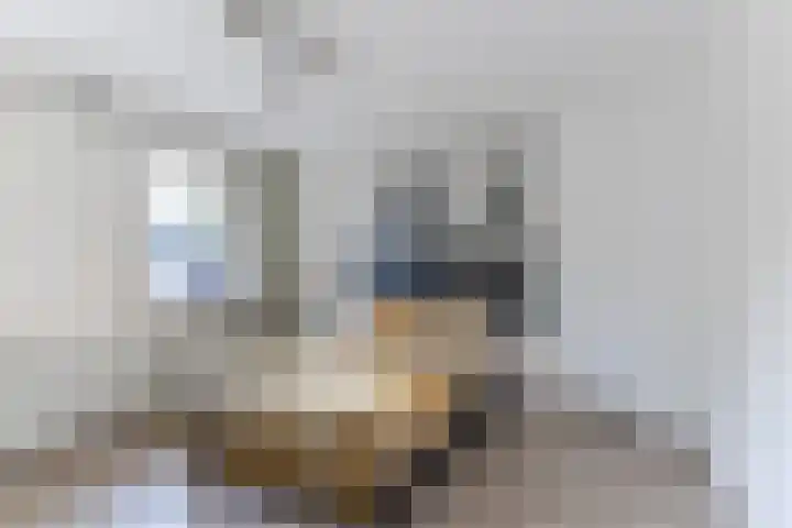 Harmonielaan 22 Someren thumbnail 25