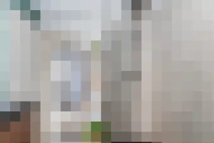 Harmonielaan 22 Someren thumbnail 32