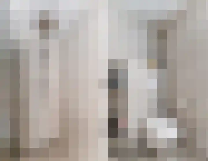 Harmonielaan 22 Someren thumbnail 33