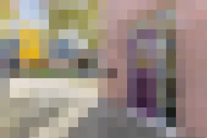 Harmonielaan 22 Someren thumbnail 42